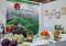 Многоотраслевая выставка-ярмарка "Сделано в Удмуртии - 2007", посвященная Дню государственности Удмуртии.
              Выставочный стенд тепличного комбината "Завьяловский"