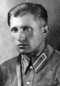 Кириллов, техник Воткинского аэроклуба Осоавиахим. Копия