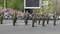 Парад военно-патриотических объединений, воинских подразделений, силовых структур, посвященный 65-й годовщине Победы в Великой Отечественной войне, на Центральной площади г. Ижевска. Показательные выступления военнослужащих. Снимок 1