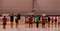 Торжественный парад открытия IX Всероссийского открытого детского традиционного турнира по фигурному катанию на коньках "Ижевская снежинка-2013" в Ледовом дворце "Олимпиец" в г. Ижевске.
